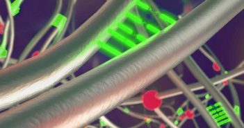 Harvard University researchers develop groundbreaking self-healing rubber