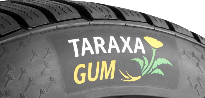 Turning dandelions into tires Turning dandelions into tires