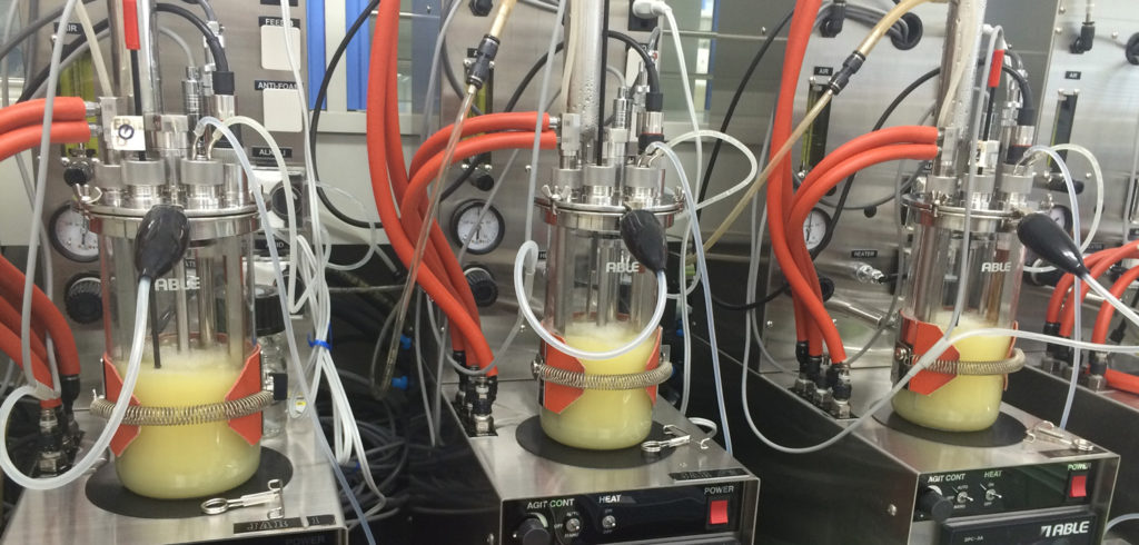 Yokohama reveals more on its revolutionary technology to produce isoprene from biomass