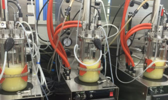 Yokohama reveals more on its revolutionary technology to produce isoprene from biomass Yokohama reveals more on its revolutionary technology to produce isoprene from biomass