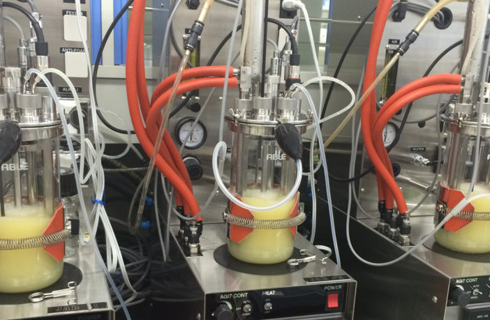 Yokohama reveals more on its revolutionary technology to produce isoprene from biomass