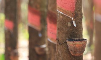 Yokohama outlines commitment to sustainable natural rubber procurement Yokohama outlines commitment to sustainable natural rubber procurement
