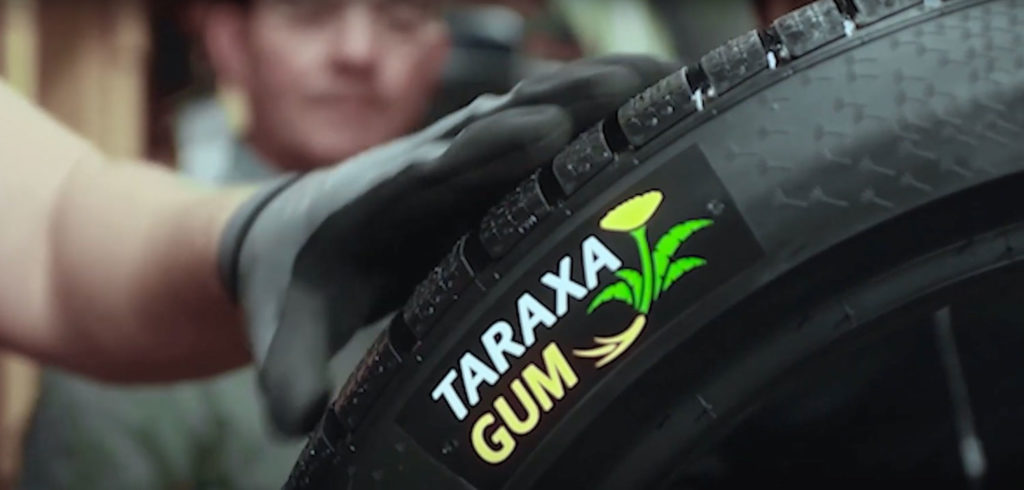 Continental careers – become a natural rubber materials expert