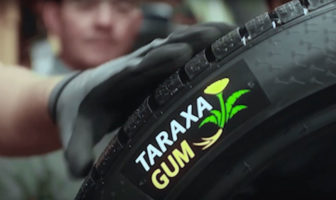 Continental careers – become a natural rubber materials expert