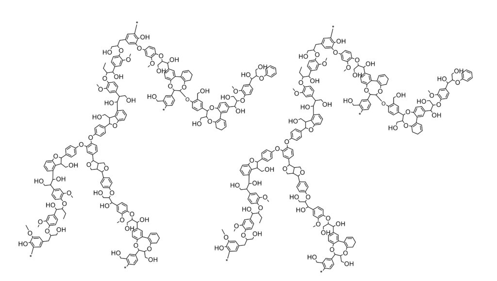 Lignin chemical structure carbon fiber