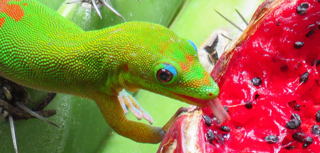 Researchers investigate mechanisms to improve friction of soft materials