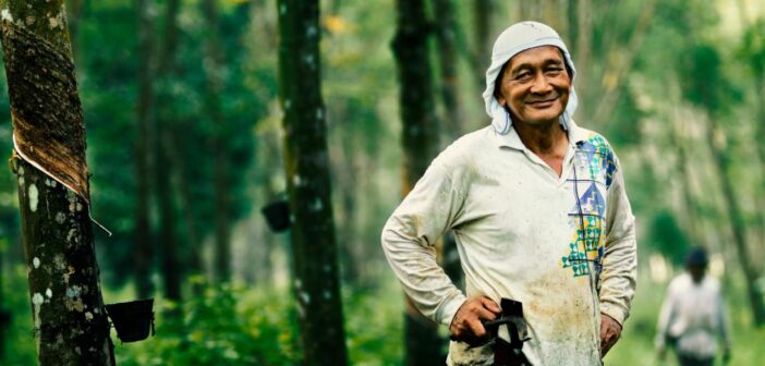 Continental joins Project Tree initiative