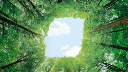 BKT joins Global Platform for Sustainable Natural Rubber