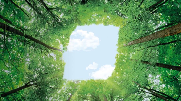 BKT joins Global Platform for Sustainable Natural Rubber