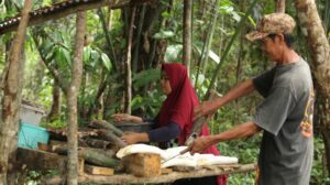 Continental extends commitment to responsible sourcing of natural rubber