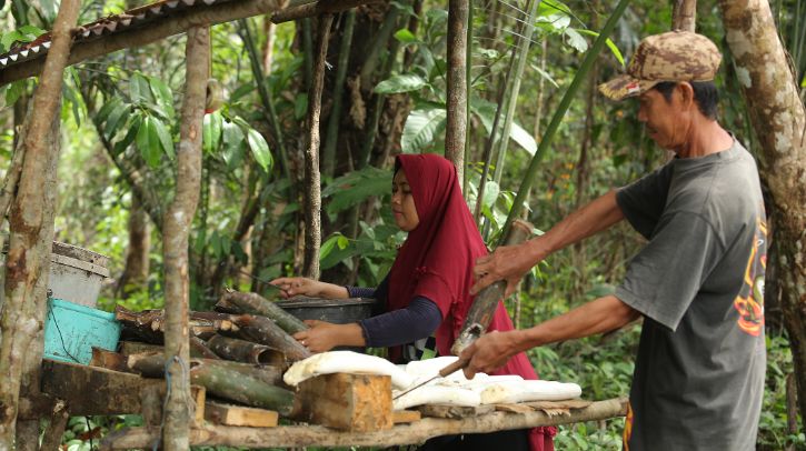 Continental has extended its project to enhance sustainability in smallholder natural rubber cultivation with the GIZ by three years.