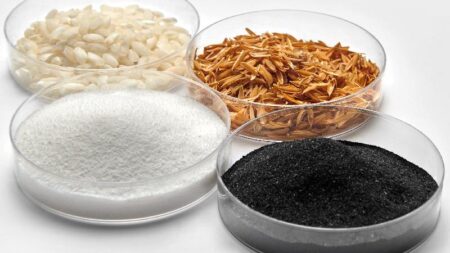 Using ashes of risotto rice husk to produce sustainable tires.