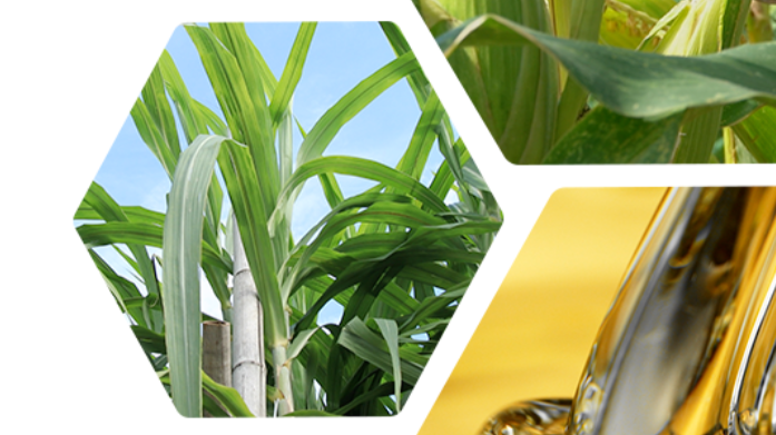 Cornfield and oil represent bio-alternatives for resin manufacturing.
