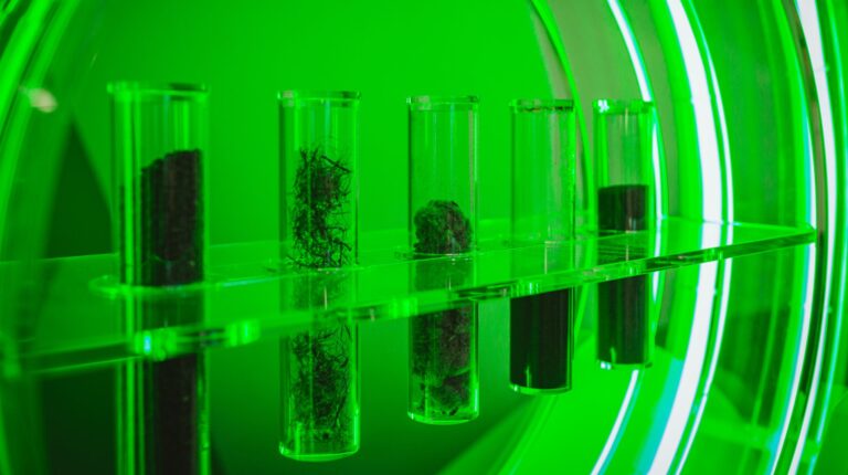 Samples of recovered materials from the pyrolysis process. Step by step, valuable raw materials — such as recovered carbon black (rCB) — are extracted from end-of-life tires and processed for use in new products.