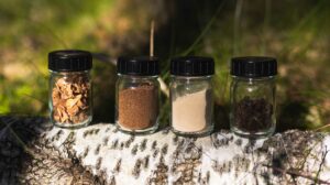 Reselo's raw material made from birch bark.